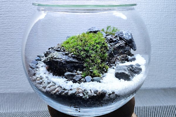 鑑賞石、アクアリウム、苔テラリウム、箱庭、坪庭、水石、盆栽、鉱石、ガーデニング 鑑賞石、アクアリウム、苔テラリウム、箱庭、坪庭、盆栽、水石