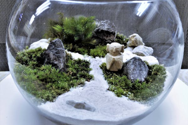 新宿 苔テラリウム 箱庭の世界が広がる 盆栽テラリウム アソビュー