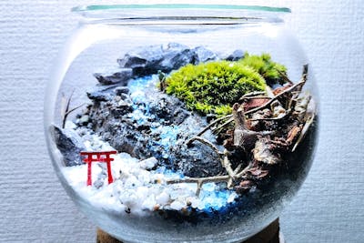 新宿・盆栽テラリウム】自然石で彩る箱庭風景「盆栽テラリウム