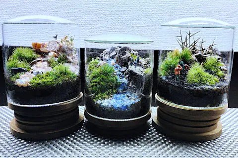 【新宿・苔テラリウム】スマートな硝子瓶で創る☆苔テラリウム1個 「夜間クラスも受付中」