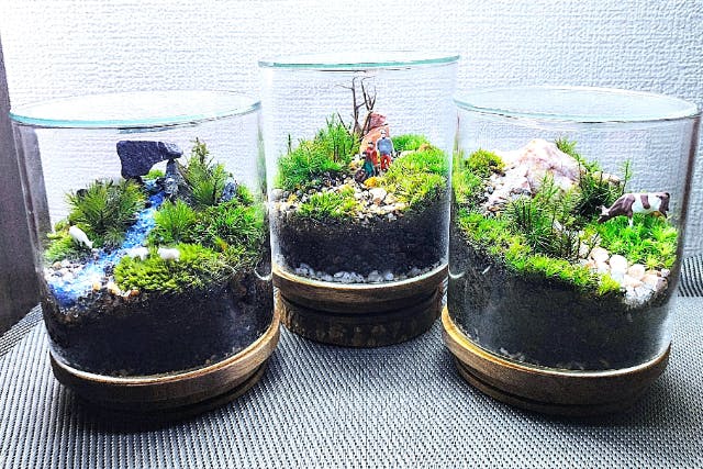【新宿・苔テラリウム】スマートな硝子瓶で創る！苔テラリウム1個