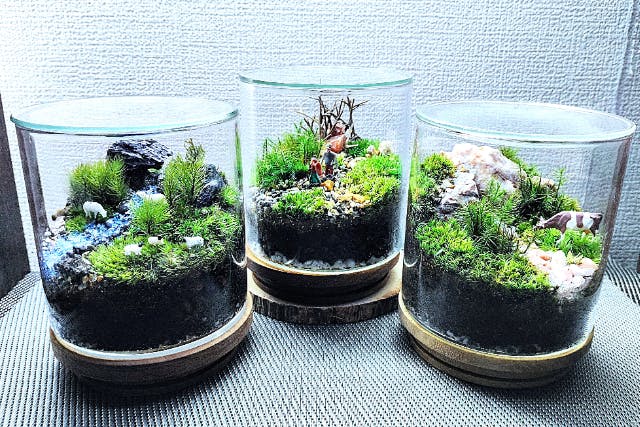 【新宿・苔テラリウム】スマートな硝子瓶で創る！苔テラリウム1個