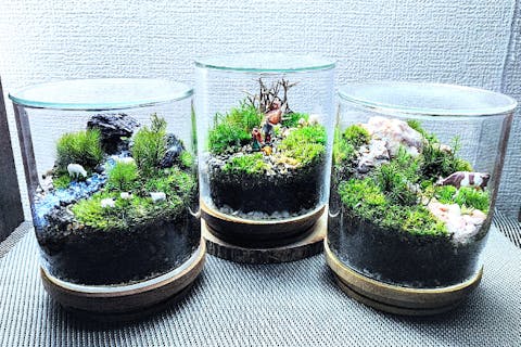 【新宿・苔テラリウム】スマートな硝子瓶で創る☆苔テラリウム1個 「当日予約も受付中」