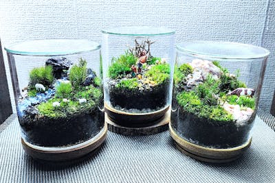 ❣️苔アート❣️テラリウム ガラス製 自然風景 ✳︎✳︎ 苔テラリウム