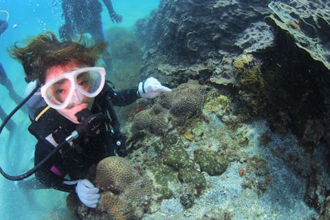 【八丈島・ダイビング】八丈島での初ダイブに！お試し体験ダイビング