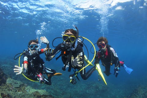 【八丈島・ダイビング】のんびり潜ります。ビーチファンダイビング（1ダイブ）