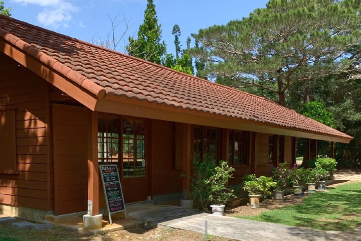 宮古島思い出アート