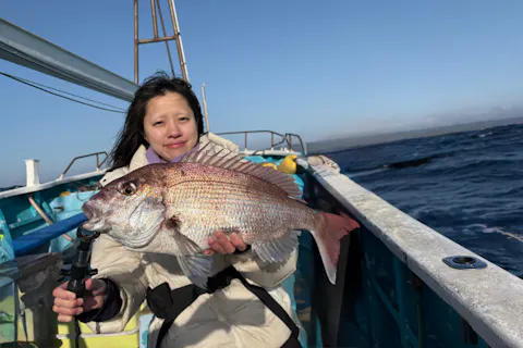 【千葉・勝浦・八幡丸】真鯛をルアーで釣り上げよう！船釣り体験！初心者歓迎！乗合プラン