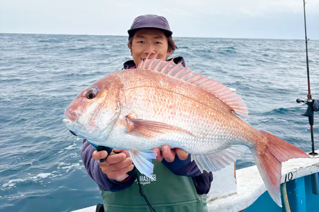 【千葉・勝浦・八幡丸】真鯛をルアーで釣り上げよう！船釣り体験！初心者歓迎！乗合プラン