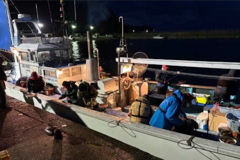 【千葉・勝浦・八幡丸】１隻貸切プラン！最大20名様まで