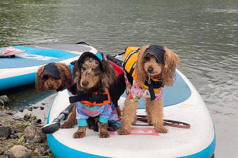 【三重・SUP】宮リバーの透き通った水と、綺麗な景色を眺めながらSUP体験！