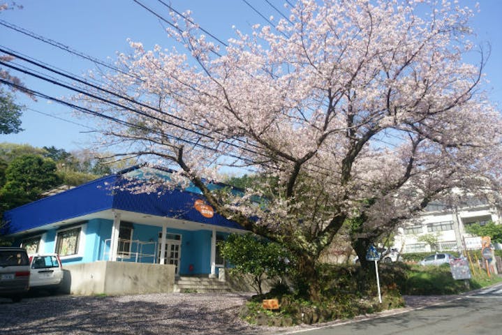 ダイビングスクール海の学校