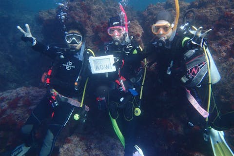 【静岡・伊東・体験ダイビング】はじめての水中世界！東伊豆の穴場ビーチへ