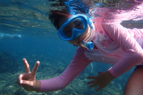 【静岡・伊東・シュノーケリング】水中生物を観察してみよう！東伊豆の穴場　川奈ビーチへ