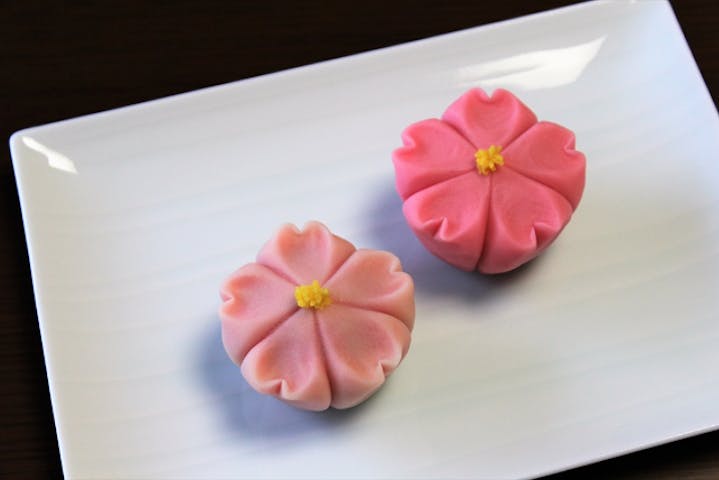 和菓子教室 sakura