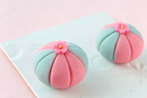 【東京・千駄木・和菓子作り体験】練り切り２種作りと簡単な抹茶点てレッスン＆試食(180分)