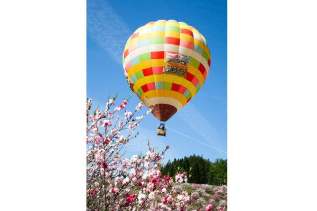 【岐阜・熱気球】高度25メートルを空中散歩！気軽に楽しめる係留フライト体験