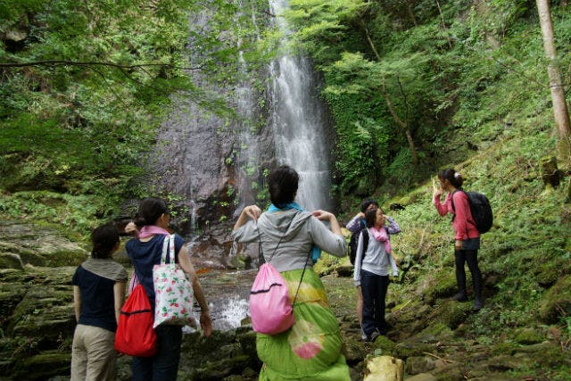 三重 名張 エコツアー 滝に打たれる貴重な体験 いざ 明鏡止水の境地へ アソビュー