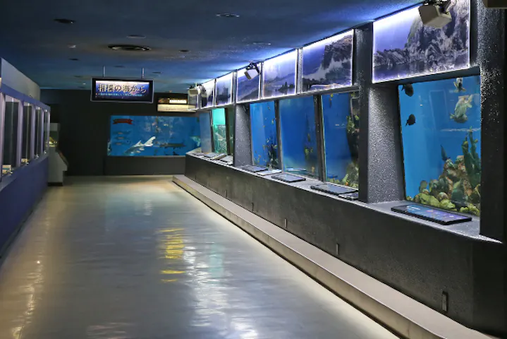 京急油壺マリンパーク 割引チケット クーポンならアソビュー