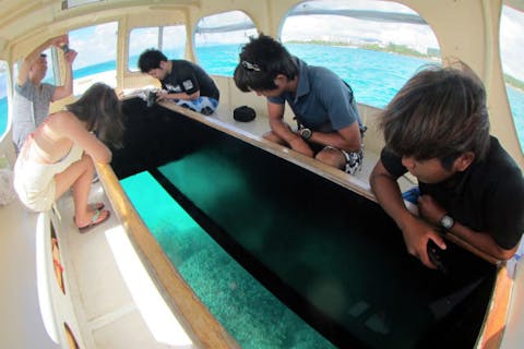 沖縄 恩納村 グラスボート まるで動く水族館 サンゴや熱帯魚を間近で観察しよう アソビュー