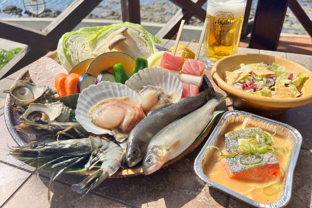【和歌山県・和歌山市・BBQ】釜揚げしらす丼に鮪と鮎も堪能！漁港直送の海鮮浜焼き
