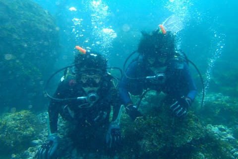 【静岡・伊東・体験ダイビング】人気の城ケ崎エリアで潜ろう！初心者大歓迎！