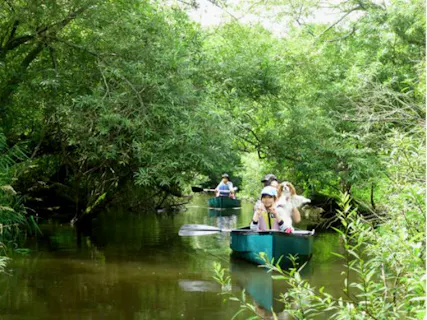 北海道 釧路 カヌー 180分 茅沼から達古武オートキャンプ場へ 釧路湿原 ロングコース アソビュー 北海道 釧路 カヌー 180分 茅沼から達古武オートキャンプ場へ 釧路湿原 ロングコース アソビュー