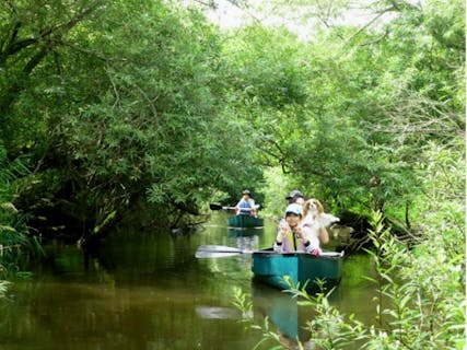 【北海道・釧路・カヌー・60分】手軽にカヌーを満喫できる！釧路湿原・ショートコース