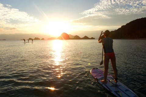 【沖縄・座間味・SUP】日の出を眺めるクルージング！サンライズSUPツアー