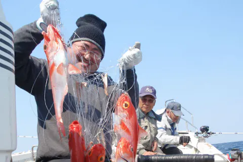 大分市 釣り体験 金目鯛釣りコース 8時間たっぷり釣りを楽しもう アソビュー
