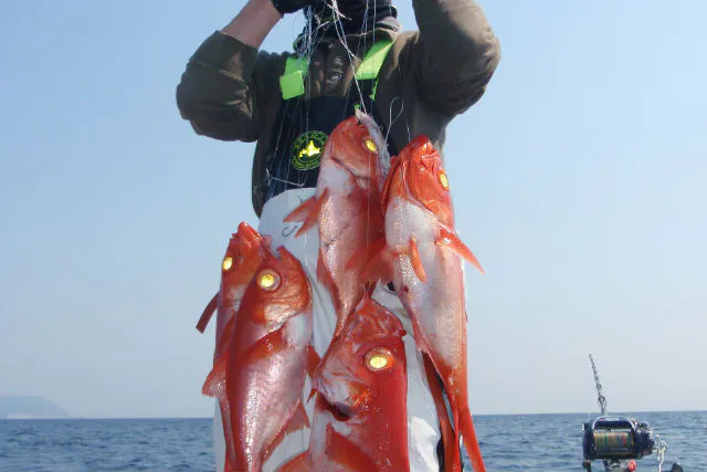 大分市 釣り体験 金目鯛釣りコース 8時間たっぷり釣りを楽しもう アソビュー