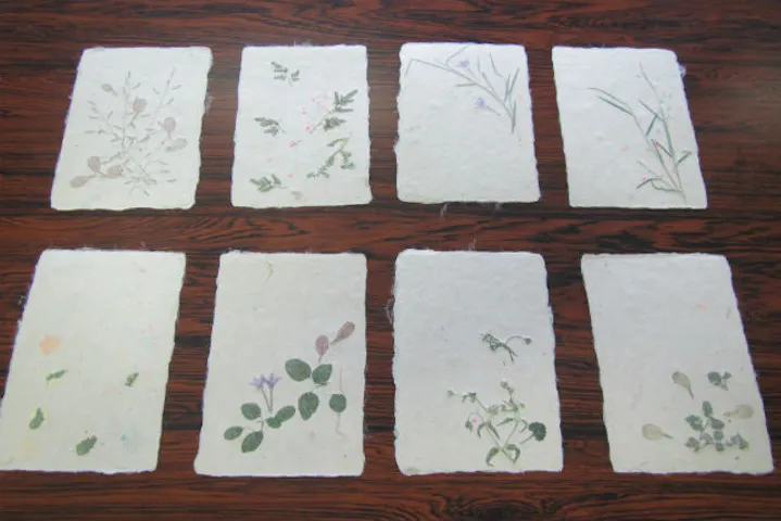 高知 紙すき体験 土佐和紙を使った紙すき体験 ハガキ 色紙などを作れます アソビュー