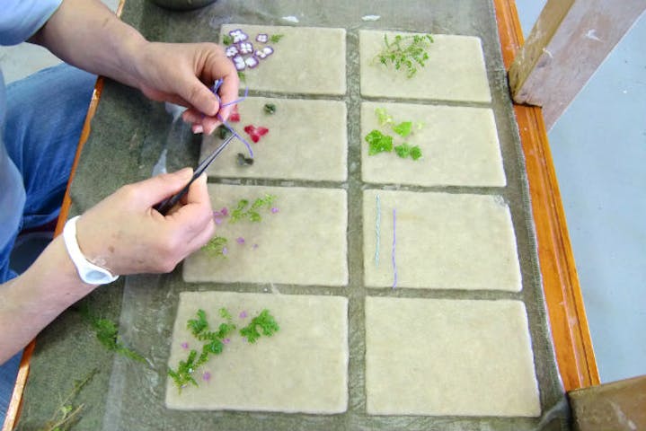 高知 紙すき体験 土佐和紙を使った紙すき体験 ハガキ 色紙などを作れます アソビュー