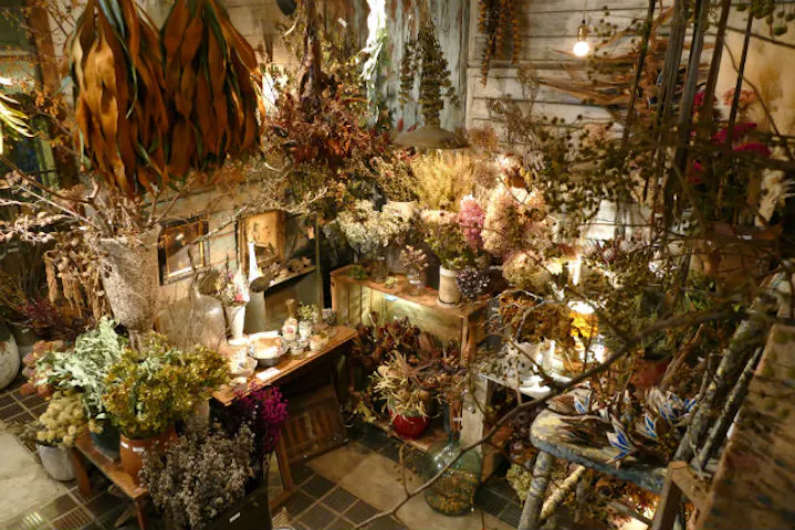 ドライフラワーと暮らしのお店 その灯ぐらし 猫洞店 ネット予約ならアソビュー