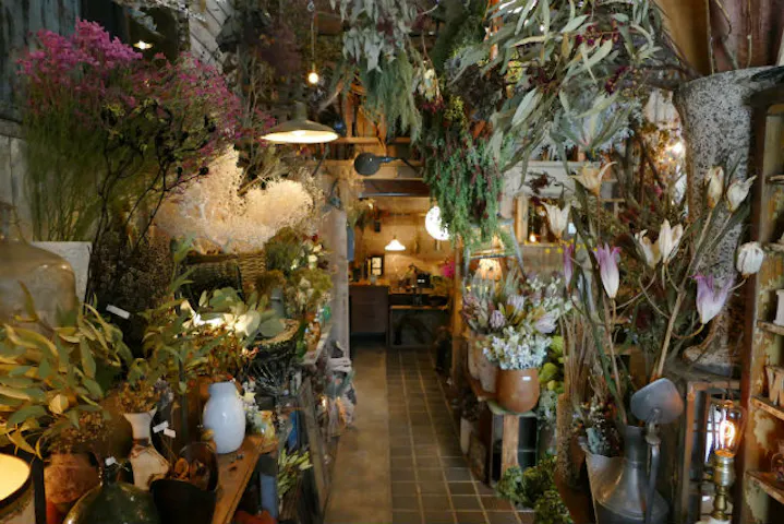 ドライフラワーと暮らしのお店 その灯ぐらし 猫洞店 ネット予約ならアソビュー