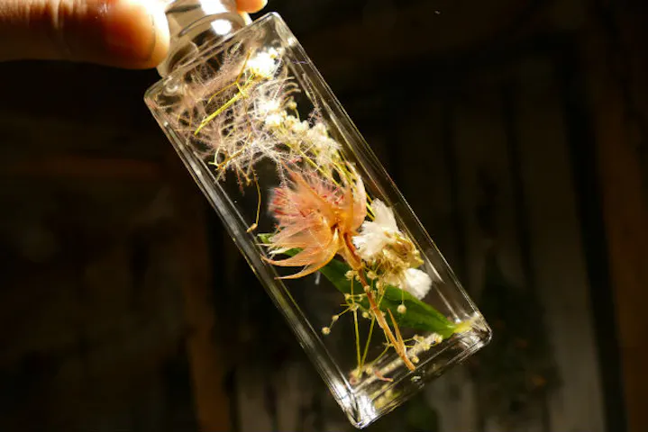 ドライフラワーと暮らしのお店 その灯ぐらし 猫洞店 ネット予約ならアソビュー