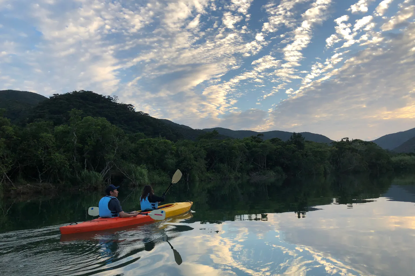 鹿児島 奄美大島 カヌー サンセットマングローブツアー 2時間 アソビュー 鹿児島 奄美大島 カヌー サンセットマングローブツアー 2時間 アソビュー