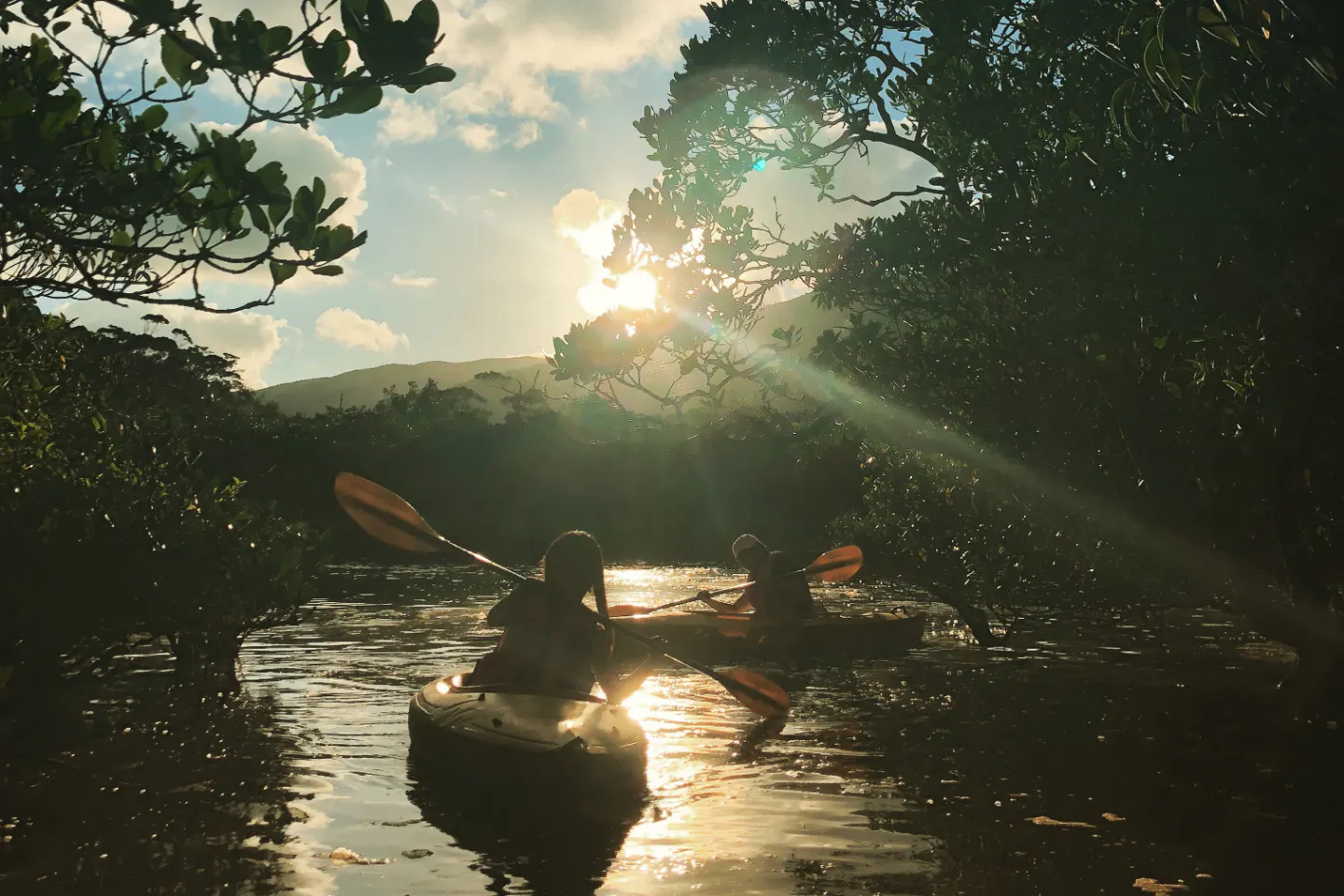 鹿児島 奄美大島 カヌー サンセットマングローブツアー 2時間 アソビュー 鹿児島 奄美大島 カヌー サンセットマングローブツアー 2時間 アソビュー