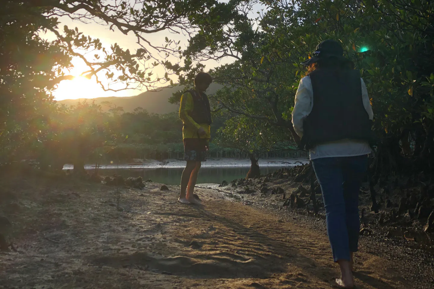 鹿児島 奄美大島 カヌー サンセットマングローブツアー 2時間 アソビュー 鹿児島 奄美大島 カヌー サンセットマングローブツアー 2時間 アソビュー