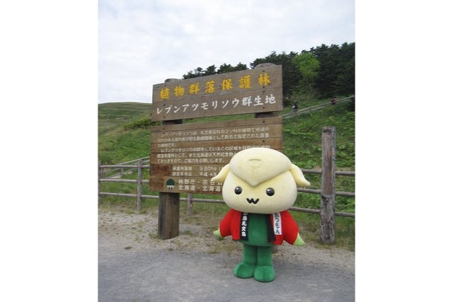 北海道・礼文島・ガイドツアー】礼文アツモリソウ群生地ガイド