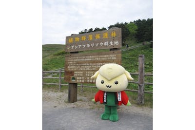 2007.5礼文島