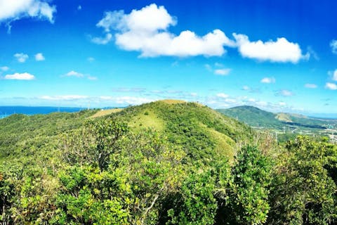 【沖縄・トレッキング】5歳から参加OK！緑豊かな石川岳トレッキング
