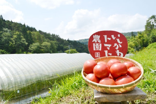 石川トマト農園