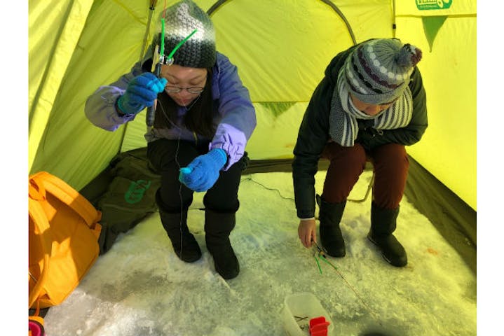 北海道 塘路湖 ワカサギ釣り 塘路湖でワカサギ釣りを楽しもう ホットコーヒー付 アソビュー