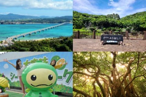 【沖縄・那覇発・バスツアー】HIP-HOPバス・Cコース・<海to森>やんばる国立公園の大自然を体感！神秘のアスムイハイクスと絶景 辺戸岬・古宇利島・大宜味（ランチ・お土産付き）