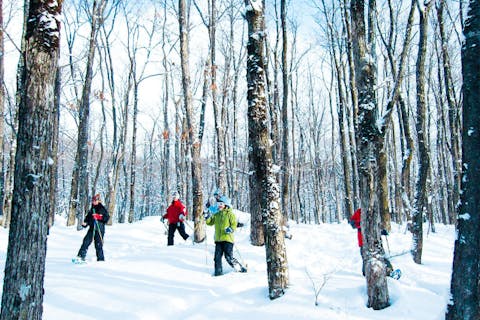 【秋田・田沢湖・スノーシュー】雪道でもスイスイ歩ける！スノートレッキング（ティータイム付）