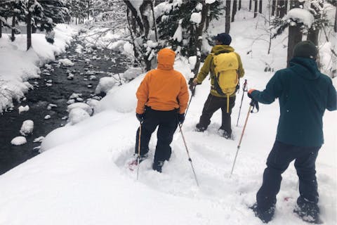 【秋田・田沢湖・スノートレッキング】《TAZAWAKO WINTER BASE》雪の森探検トレッキングツアー&スノーギアレンタル&スモア作り体験パック