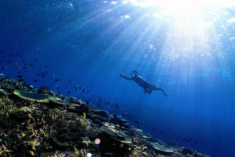 【ライセンス取得コース】沖縄・慶良間諸島でスキンダイビング！スキンダイバーでないと辿り着けない秘境へ！