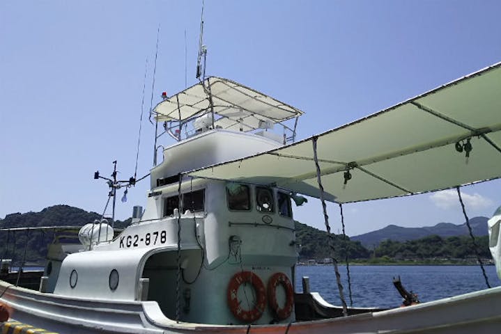 鹿児島 指宿市 海釣り 新鮮なイカをゲットしよう イカ釣り体験 道具レンタル代込 アソビュー