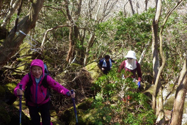 伊東市 伊豆高原 城ヶ崎海岸 登山 トレッキングの遊び体験 日本最大の体験 遊び予約サイト アソビュー